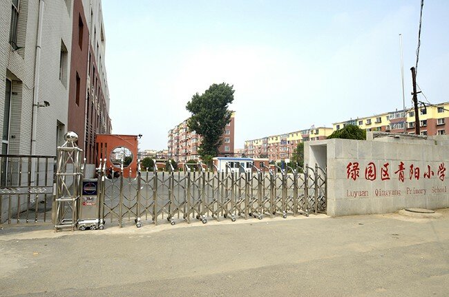 绿园区青阳小学.jpg